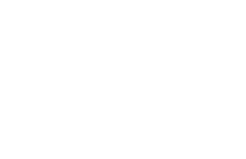 Turtlequilts